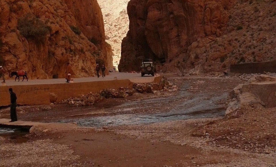Palmeraie de Tinghir - Oasis