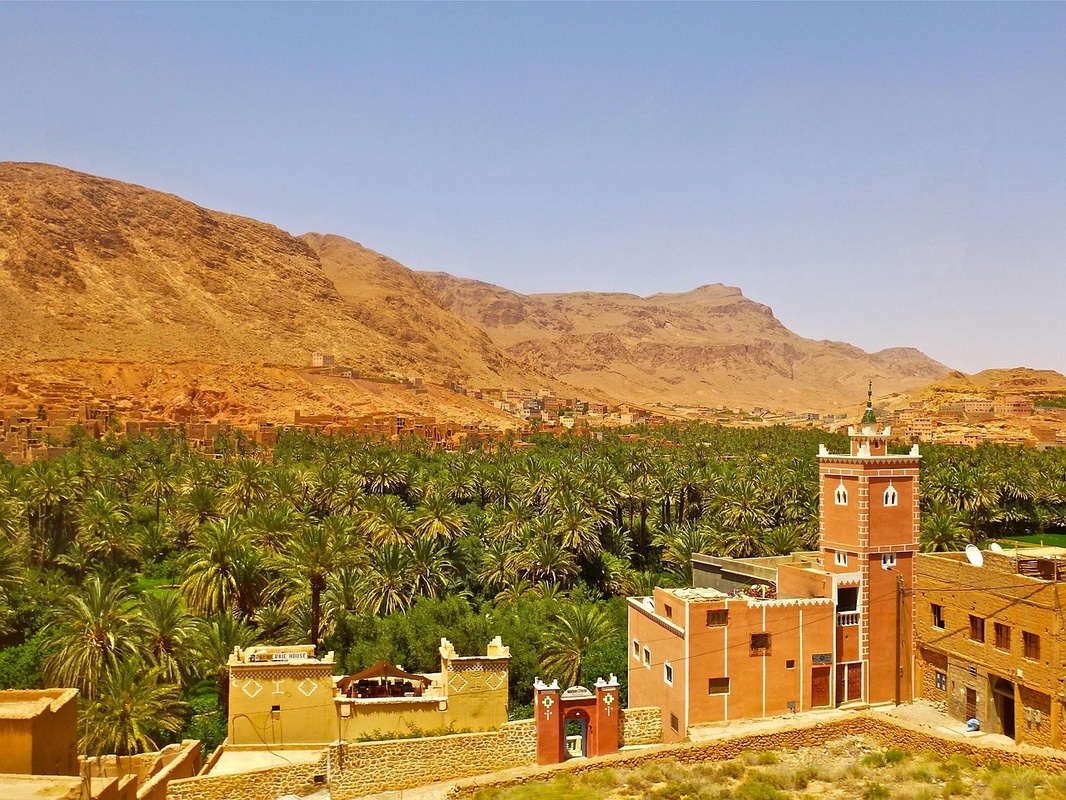 Oasis de Tozeur - Palmeraie et briques ocre