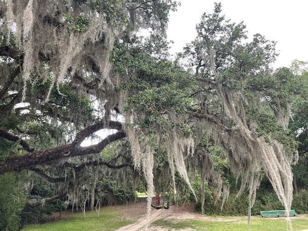 Route en Louisiane, bayou, voyage moto Route du Blues