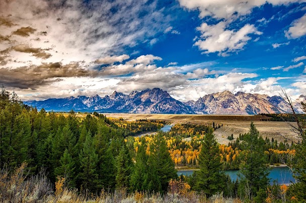 Arche en bois d'élan à Jackson Hole, Wyoming