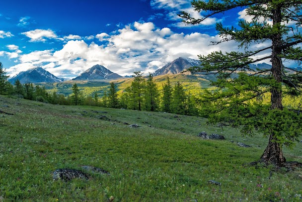 Paysage calme près des sources de Tsenkher