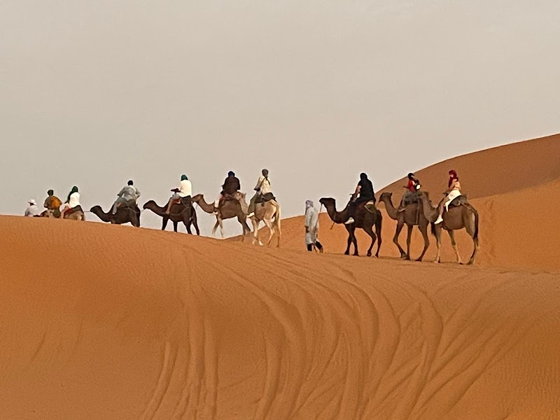 Bivouac Merzouga