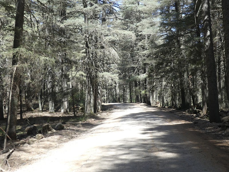 Ifrane, Suisse marocaine