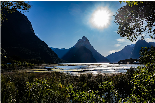 Milford Sound - Fjord et cascades