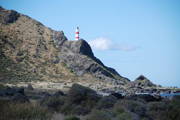 Phare du Cap Palliser
