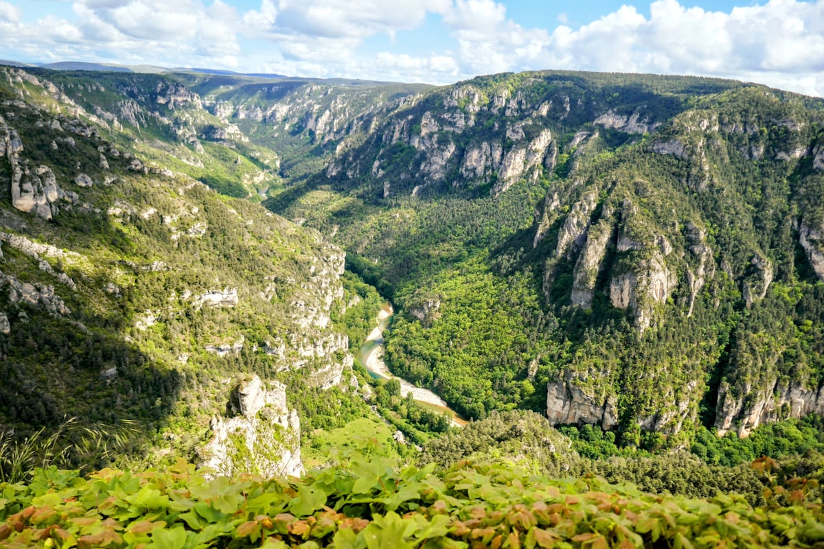Gorges du Tarn