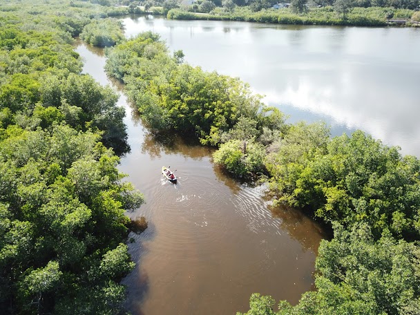 Bayou Louisiane